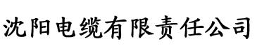 电影《男瑜伽师》电缆厂logo